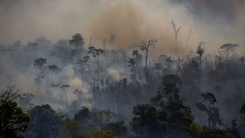 Fogo na Amazônia faz Brasil bater recorde mensal de emissão de carbono