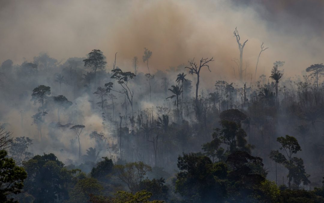 Fogo na Amazônia faz Brasil bater recorde mensal de emissão de carbono Dados publicados hoje mostram que número altíssimo de incêndios atinge neste mês Brasil, Venezuela, Colômbia e Bolívia