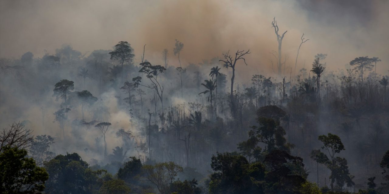 <span class="entry-title-primary">Fogo na Amazônia faz Brasil bater recorde mensal de emissão de carbono</span> <h2 class="entry-subtitle">Dados publicados hoje mostram que número altíssimo de incêndios atinge neste mês Brasil, Venezuela, Colômbia e Bolívia </h2>