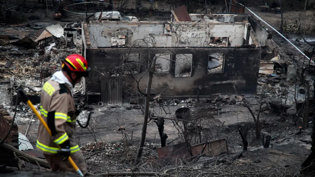 Onda de incêndios no Chile destrói o Jardim Botânico de Viña del Mar
