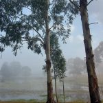 Frio fora época apenas 36 horas após calor escaldante de 40ºC