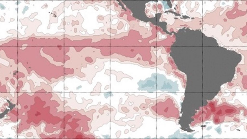 El Niño segue com forte intensidade no Pacífico na metade do verão