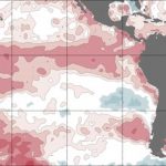 El Niño segue com forte intensidade no Pacífico na metade do verão