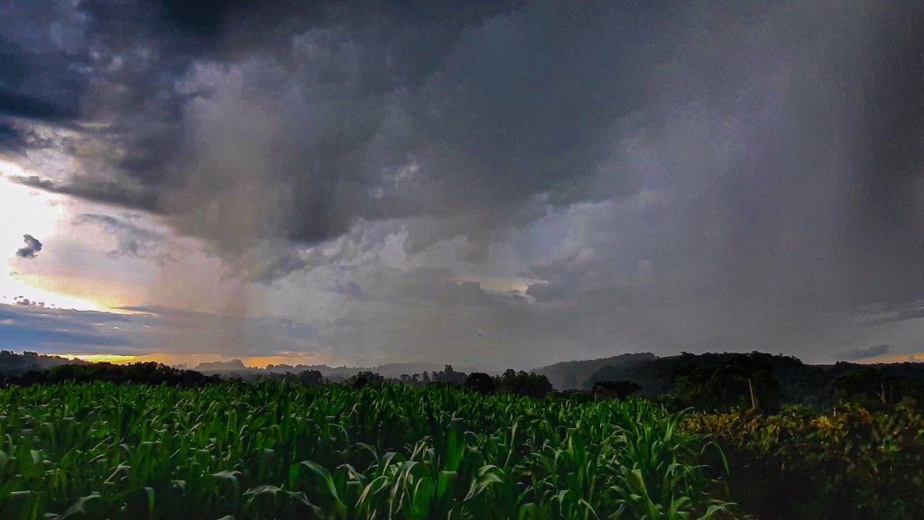 Calor atinge quase 40ºC, temperatura seguirá alta e traz chuva de verão
