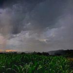 Calor atinge quase 40ºC, temperatura seguirá alta e traz chuva de verão