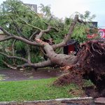 Frente fria chega ao Rio Grande do Sul com vento de 140 km/h