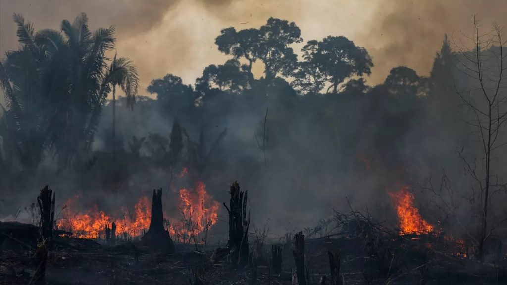 Queimadas na Amazônia atingiram 391% da média em fevereiro