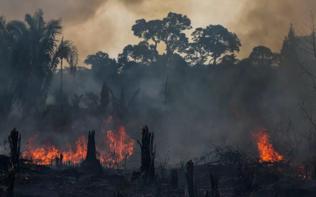Queimadas na Amazônia atingiram 391% da média em fevereiro Número absurdamente elevado de queimadas em Roraima contribuiu para o recorde mensal no bioma amazônico
