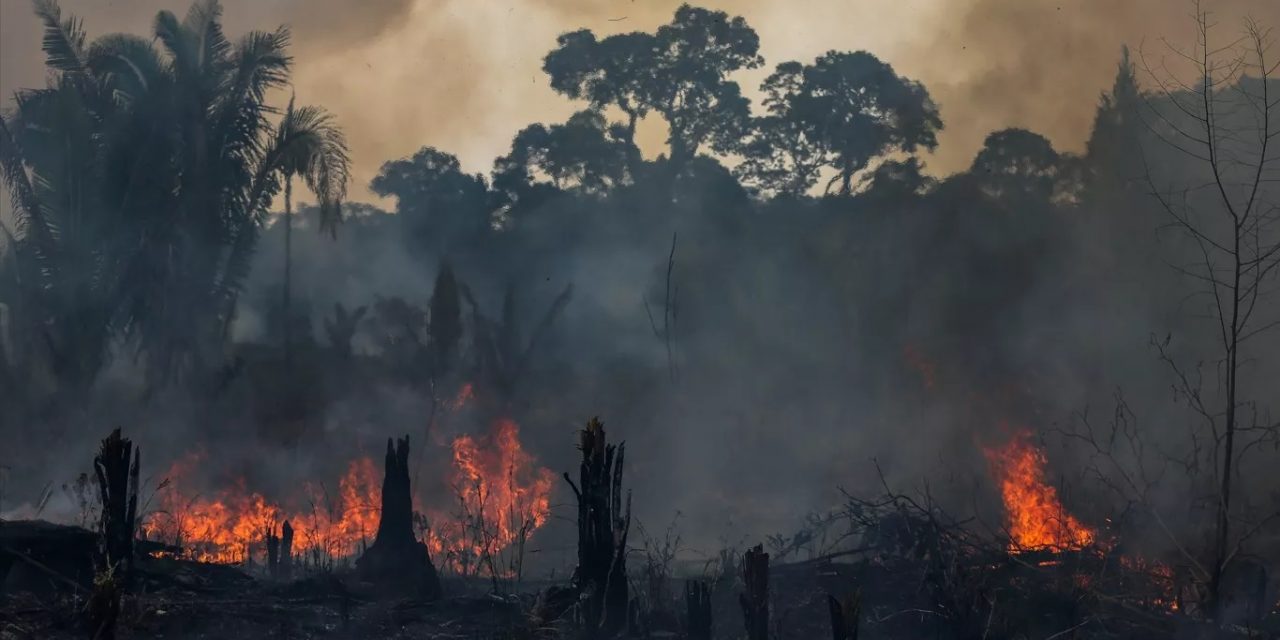 <span class="entry-title-primary">Queimadas na Amazônia atingiram 391% da média em fevereiro</span> <h2 class="entry-subtitle">Número absurdamente elevado de queimadas em Roraima contribuiu para o recorde mensal no bioma amazônico </h2>