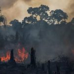 Queimadas na Amazônia atingiram 391% da média em fevereiro