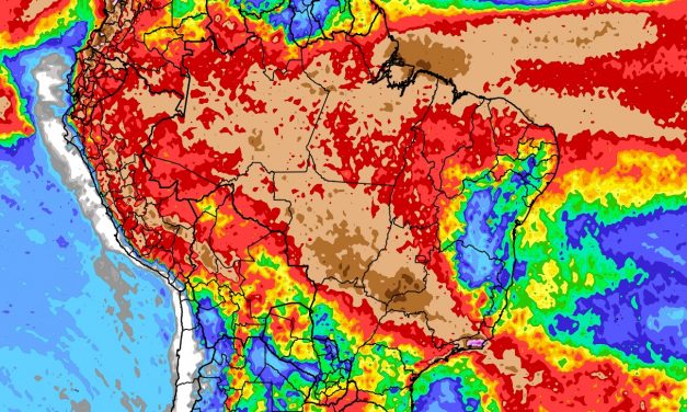 Clima para amanhã em Joinville-SC: previsão do tempo desta quarta-feira  (20/03) - País - Diário do Nordeste
