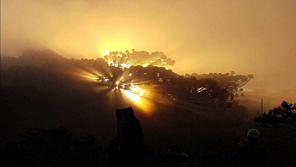 Frio de 6ºC em pleno início de março; confira as mínimas de hoje