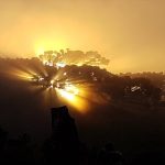 Frio de 6ºC em pleno início de março; confira as mínimas de hoje