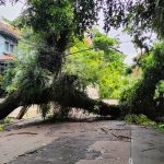 Nem todo o temporal em Porto Alegre será como o de 16 de janeiro