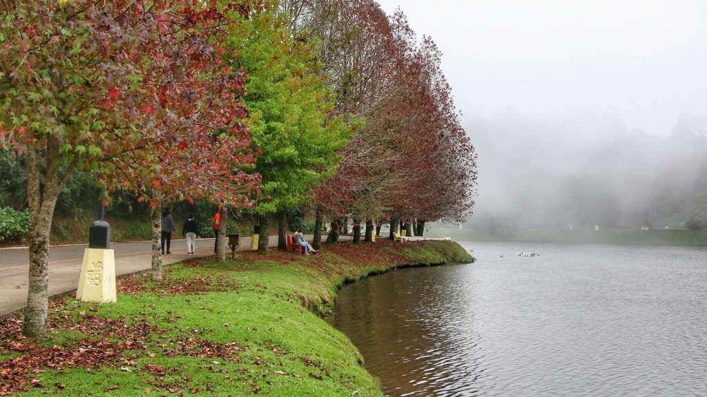 Saiba como deve ser o clima no outono de 2024