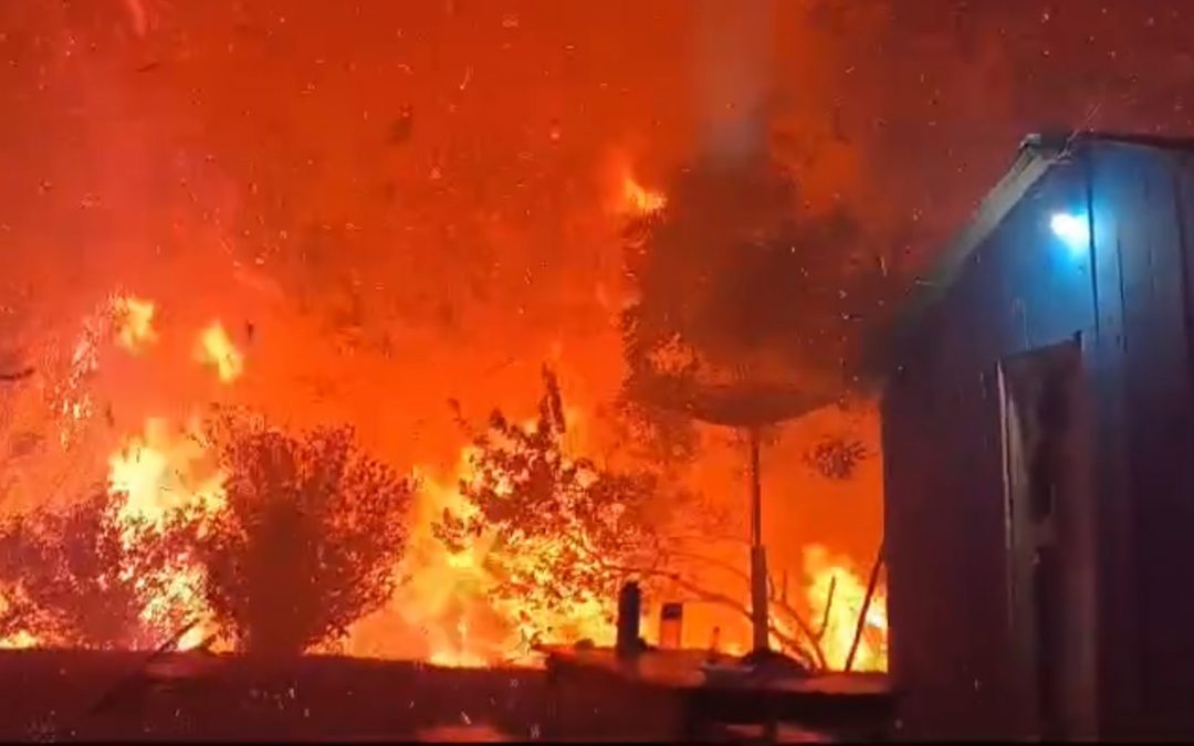 Roraima tem em apenas um mês mais queimadas que em um ano Estado de Roraima teve o pior fevereiro de fogo de sua história e o segundo mês com mais queimadas da série histórica