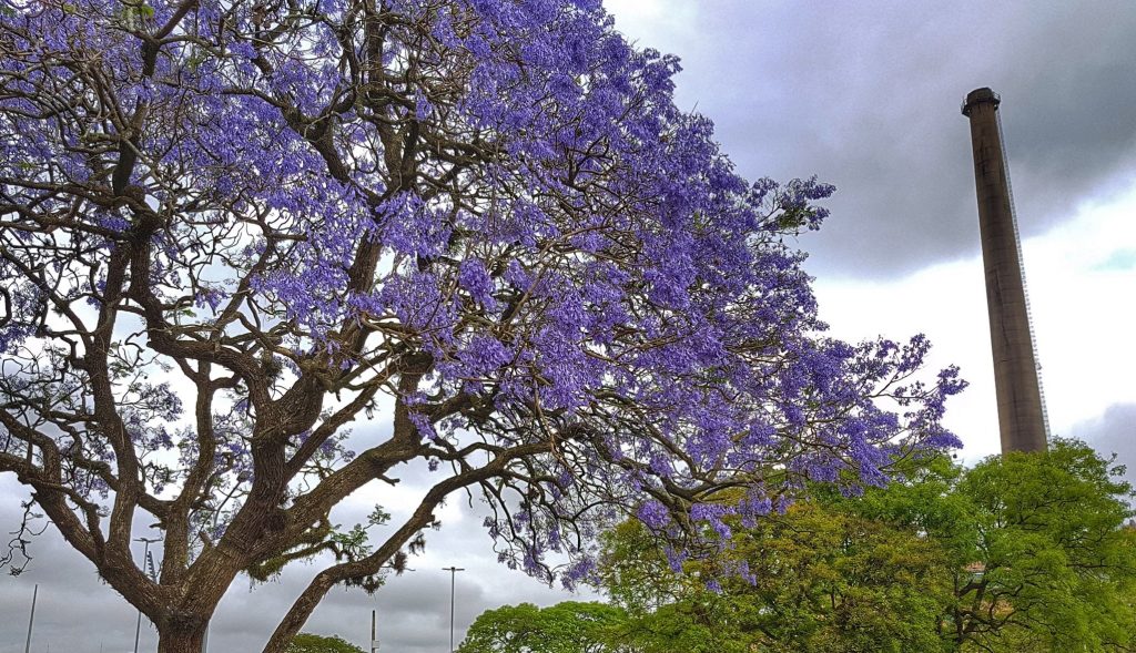 Previsão do tempo: domingo de sol, nuvens e chuva em menos lugares