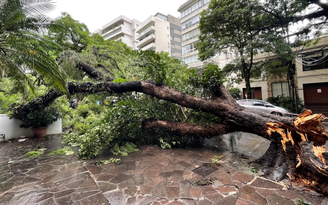 Tempestades avançarão da Argentina e Uruguai com risco de vendavais Linha de instabilidade com fortes tempestades avança para o Rio Grande do Sul com alto risco de temporais com vendavais