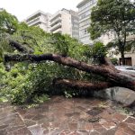 Tempestades avançarão da Argentina e Uruguai com risco de vendavais