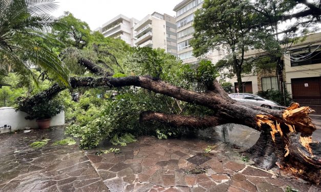 Tempestades avançarão da Argentina e Uruguai com risco de vendavais