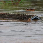 Grave risco de enchentes no Sul do Brasil por chuva extrema e frequente