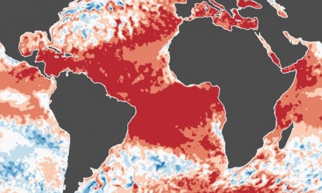 Clima: planeta registra décimo mês seguido com recorde de temperatura