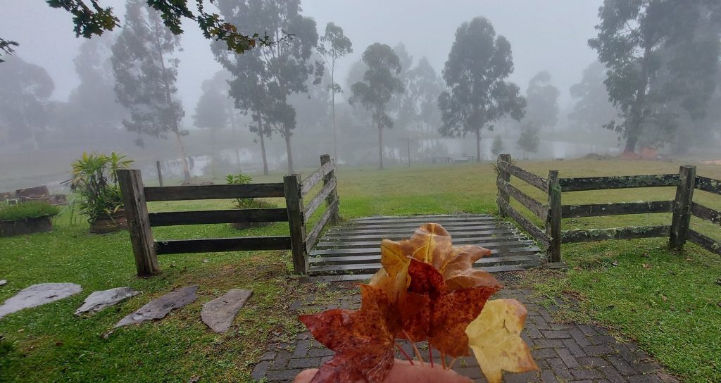 Primeiro frio de abril traz 7ºC no interior e 11ºC em Porto Alegre