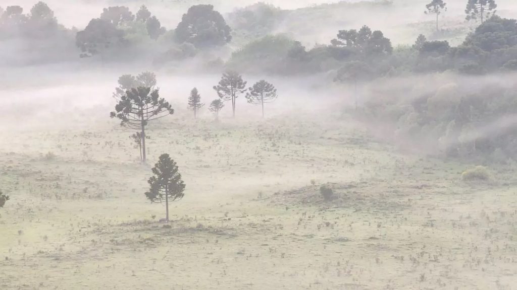 Massa de ar seco e frio trará noites mais frias e geada no Sul do Brasil