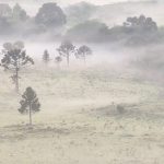 Massa de ar seco e frio trará noites mais frias e geada no Sul do Brasil