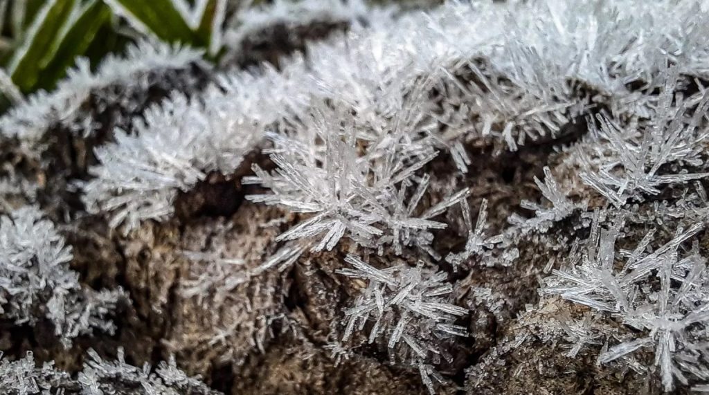 Começa uma sequência de dias com madrugadas de frio e geada