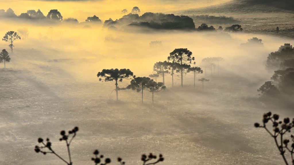 Fotos: os postais de inverno do primeiro frio do outono de 2024