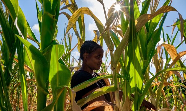 El Niño deixa 13 milhões de pessoas em crise alimentar no Sul da África