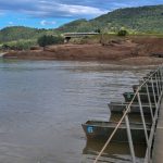 As pontes que marcam o começo da reconstrução após a catástrofe