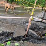 Caxias do Sul tem tremores de terra e rachaduras na BR-116; entenda