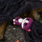 Frio vai prosseguir e aumenta drama das vítimas das enchentes