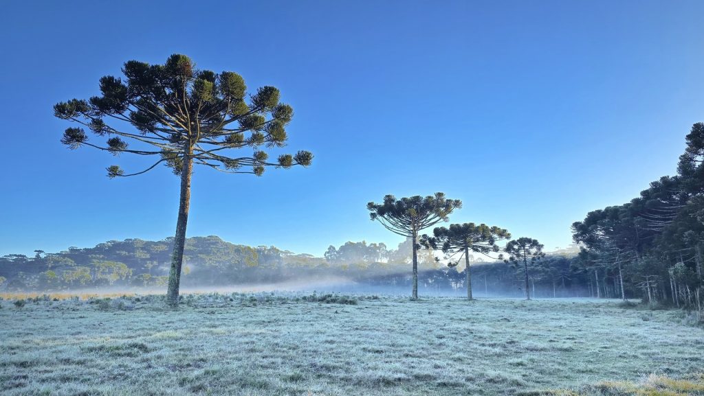 Frio abaixo de zero e geada no Sul e no Sudeste do Brasil