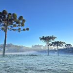 Frio abaixo de zero e geada no Sul e no Sudeste do Brasil