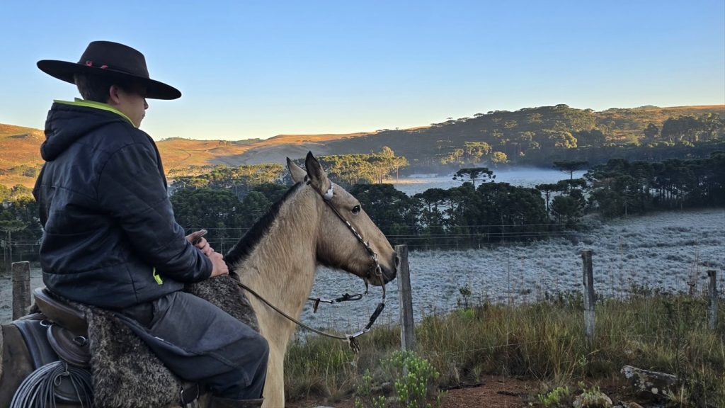Rio Grande do Sul, Santa Catarina e Minas Gerais abaixo de zero