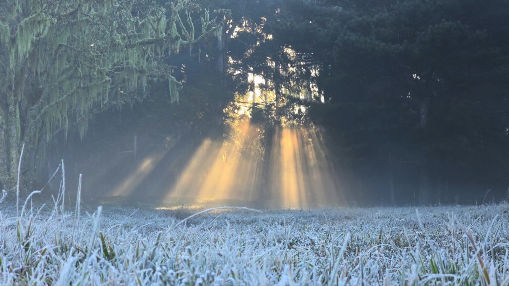 Fotos: as imagens do frio no Sul do Brasil no último dia de maio