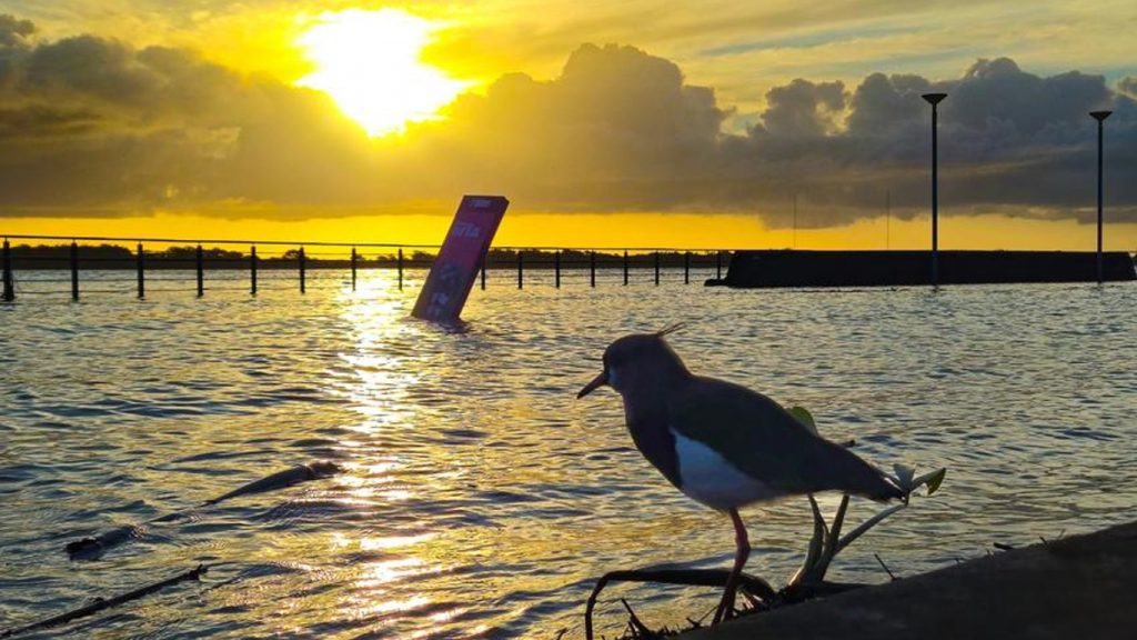 Desastre no Rio Grande do Sul: a previsão que mais gostaríamos de dar