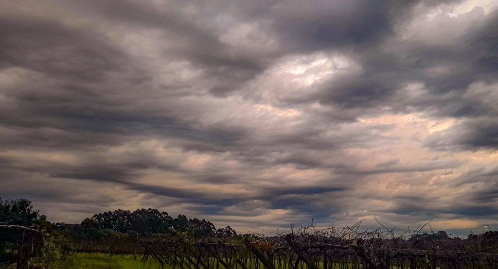 Chuva atinge grande parte do estado nesta sexta; veja o que esperar