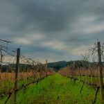 Veja a projeção de chuva para o Rio Grande do Sul nos próximos dias