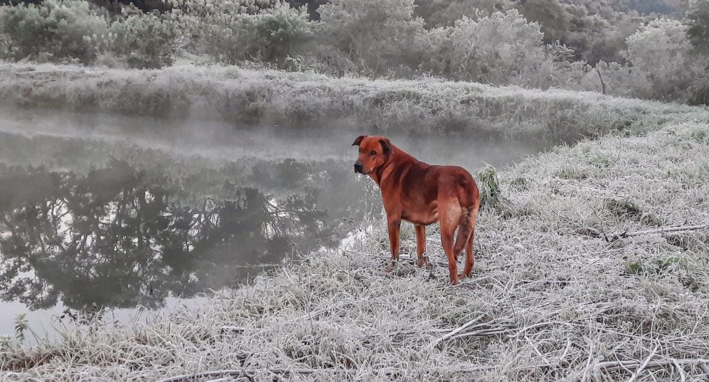 O que esperar do clima em julho na chuva e temperatura