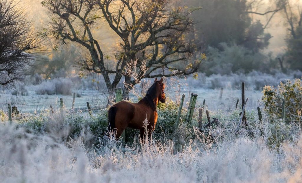 Onda de frio: entenda por que este fim de semana será uma “geladeira”