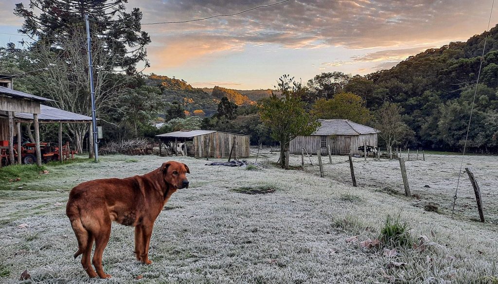 Frio aumenta ainda mais e domingo começa com marcas congelantes