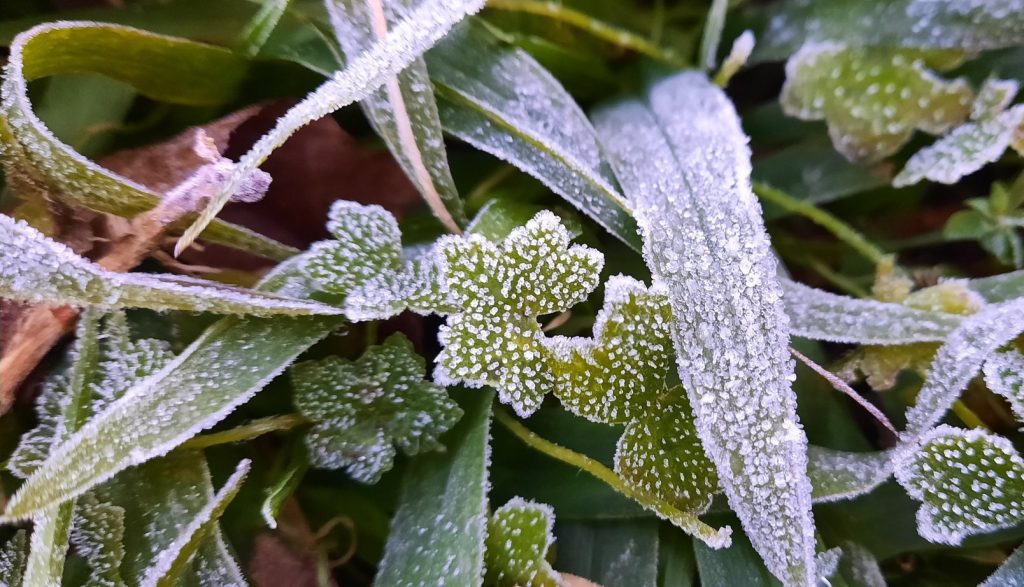 Ar polar chega com geada, temperatura negativa e subida do Guaíba