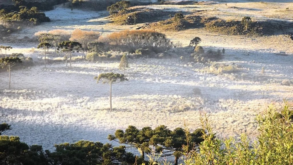 Como será o clima no inverno na transição de El Niño para La Niña