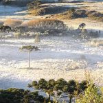 Como será o clima no inverno na transição de El Niño para La Niña