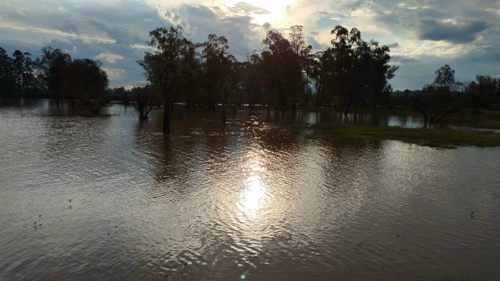 Onde os rios sobem e baixam no Rio Grande do Sul