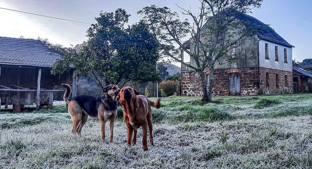 Semana invernal terá dias de chuva e muito frio; veja a tendência dia a dia
